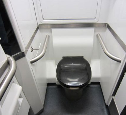 Toilet module